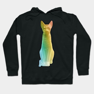 Rainbow Egypt cat Hoodie